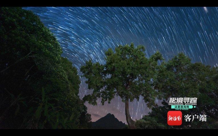 小猫钓鱼正版下载中文版